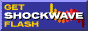 [ Download Macromedia Shockwave Flash ]